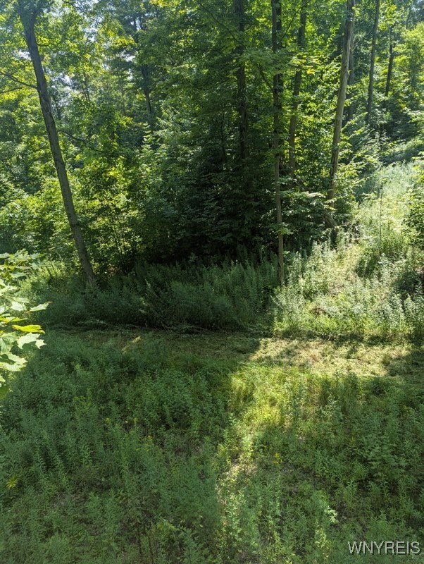 Vl Bowers Road Cassadaga, NY 14718 - Photo 1 of 1 Gallery Image 1