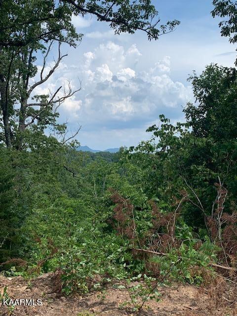 644 Ailor Gap Road Luttrell, TN 37779 - Photo 2 of 5 Top of the Property, View of House Mount