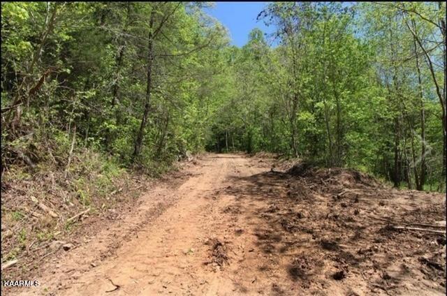 644 Ailor Gap Road Luttrell, TN 37779 - Photo 3 of 5 Road through property