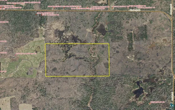 $139,900 | 80-acres Near Blueberry Road, Bayfield, WI 54814