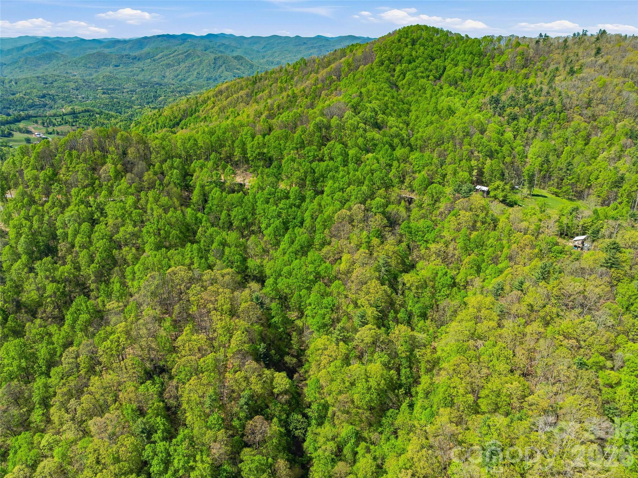 3167 Lump Town Road Marshall, NC 28753 - Photo 26 of 37 Gallery Image 26