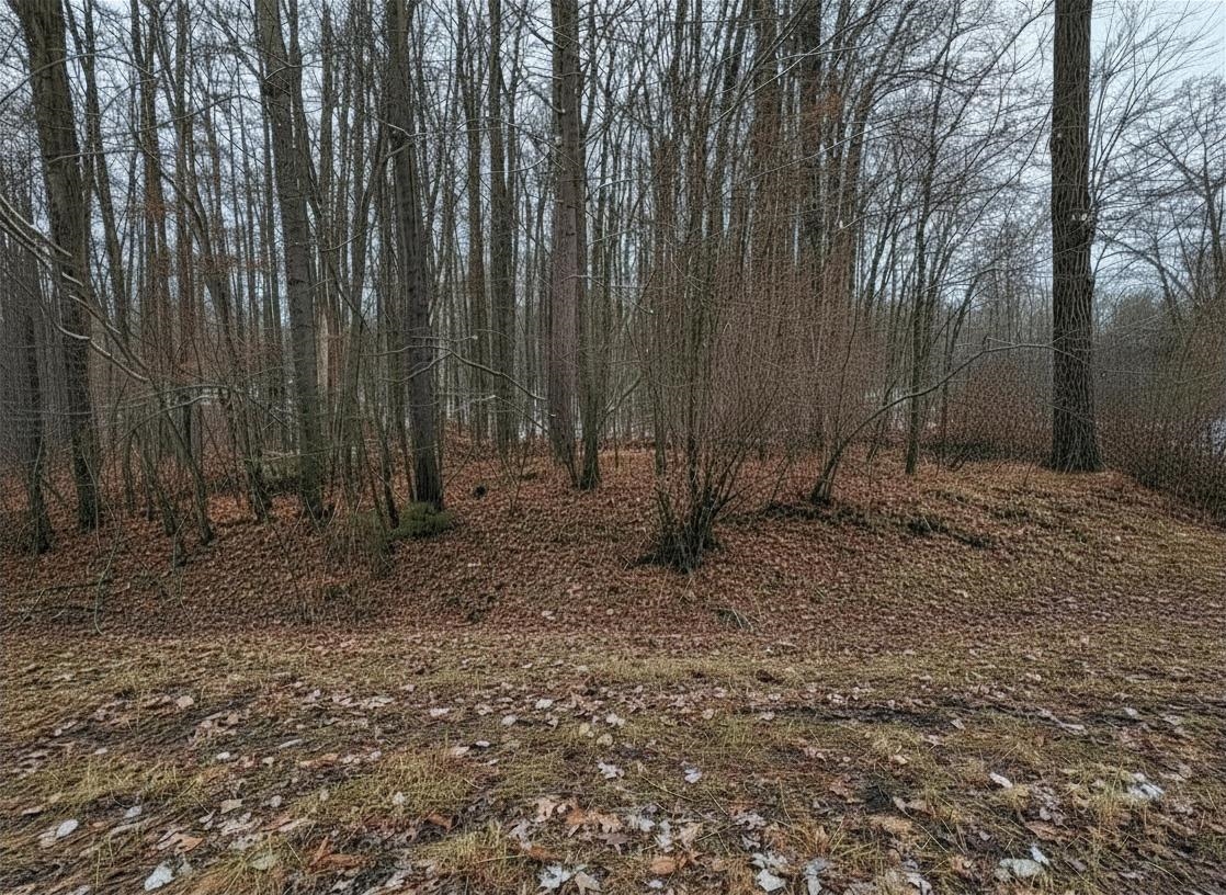 Lot # Squirrel Run Road Farwell, MI 48622 - Photo 7 of 16