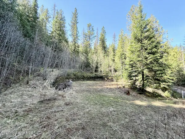 $159,999 | 498 Revenue Gulch Road, Wallace, ID 83873
