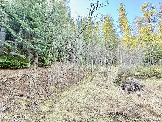 $159,999 | 498 Revenue Gulch Road, Wallace, ID 83873