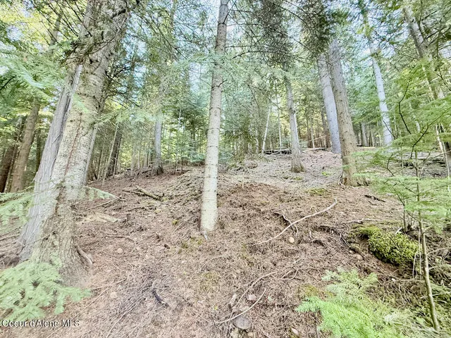 $159,999 | 498 Revenue Gulch Road, Wallace, ID 83873