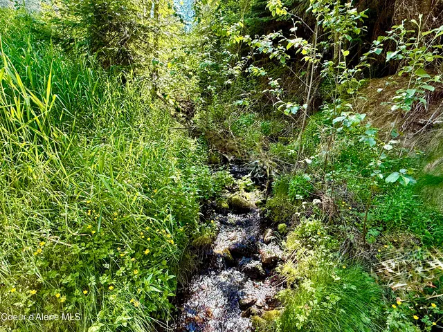 $159,999 | 498 Revenue Gulch Road, Wallace, ID 83873