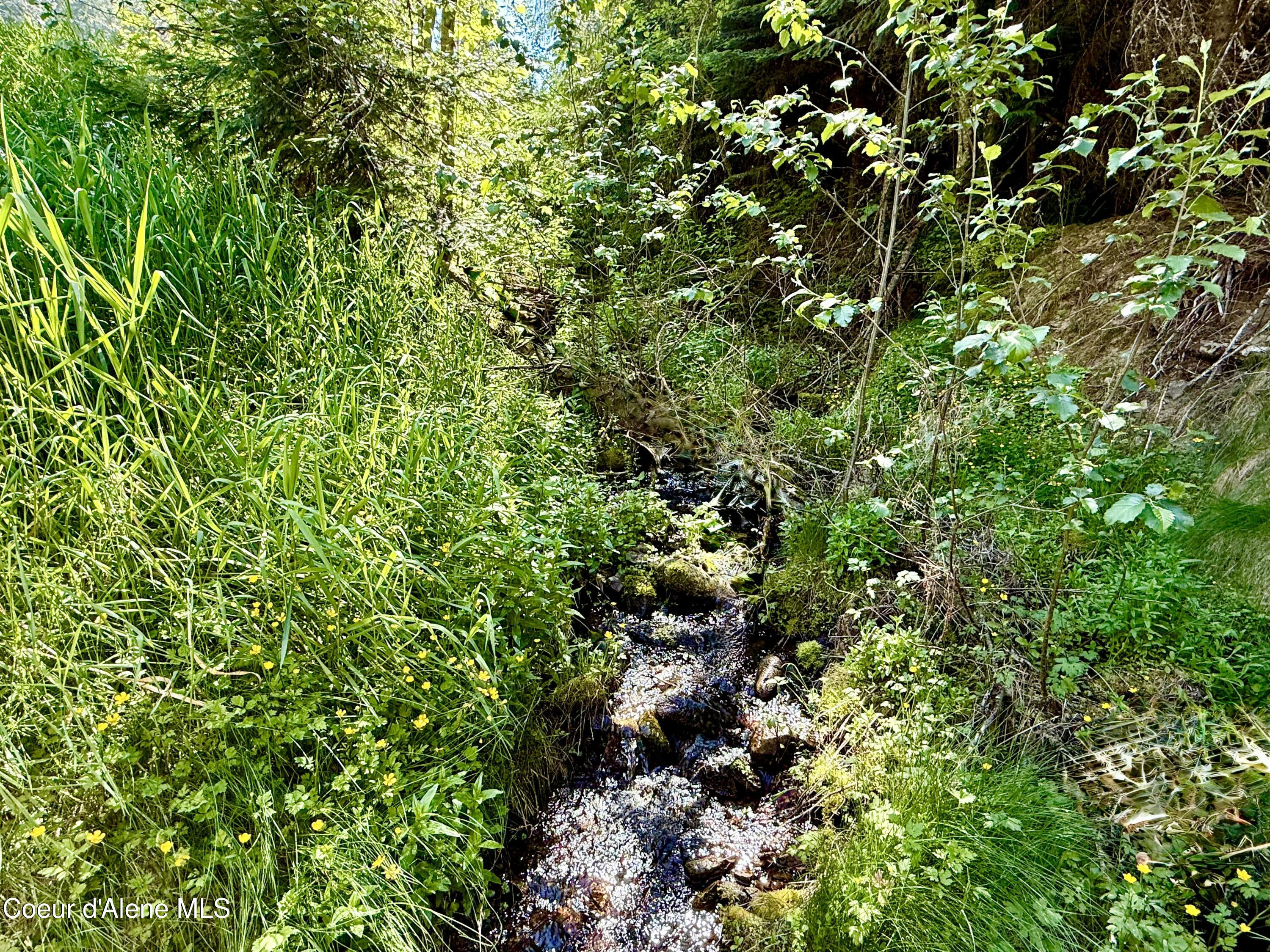 498 Revenue Gulch Road Wallace, ID 83873 - Photo 2 of 18 IMG_0684