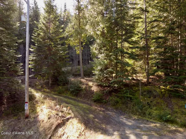$159,999 | 498 Revenue Gulch Road, Wallace, ID 83873