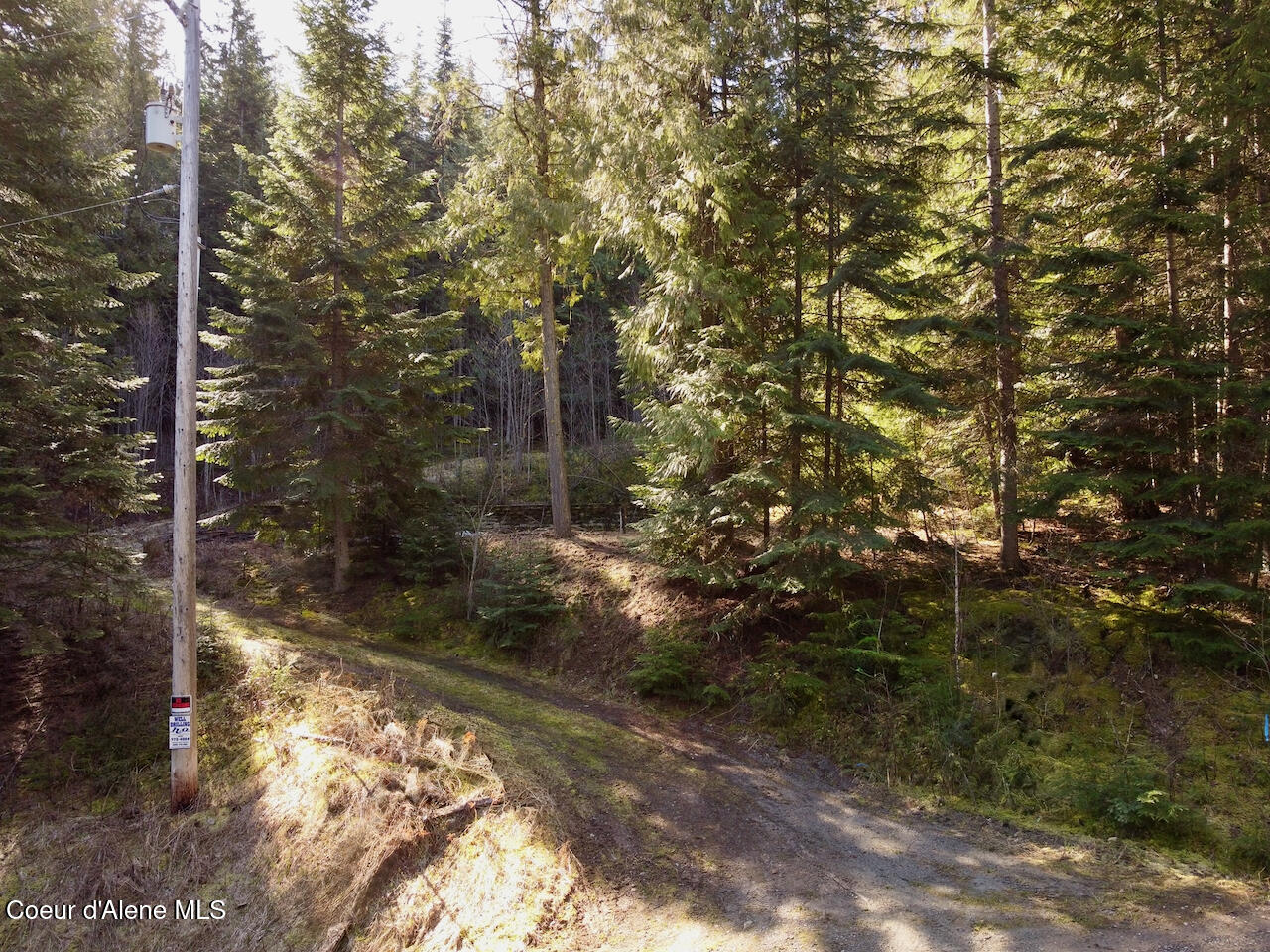 498 Revenue Gulch Road Wallace, ID 83873 - Photo 5 of 18 4