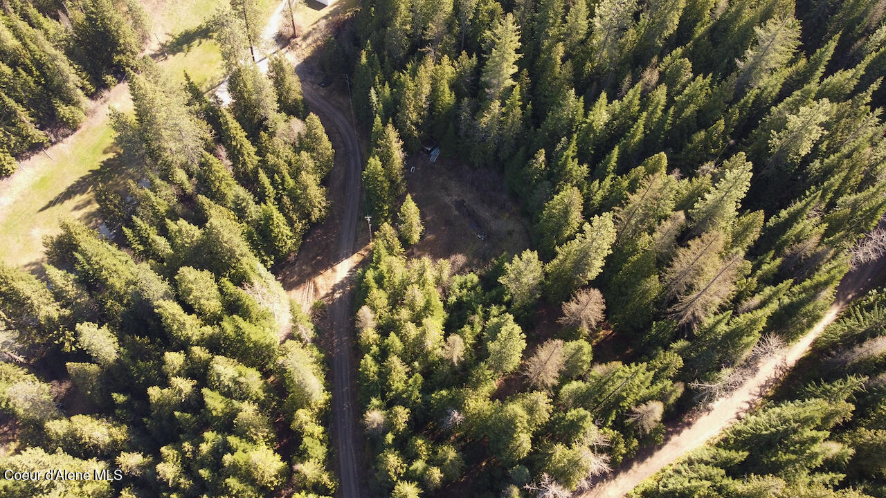 498 Revenue Gulch Road Wallace, ID 83873 - Photo 7 of 18 6