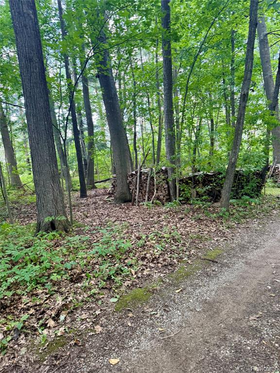 6269 Mabley Hill Road Fenton, MI 48430 - Photo 53 of 56