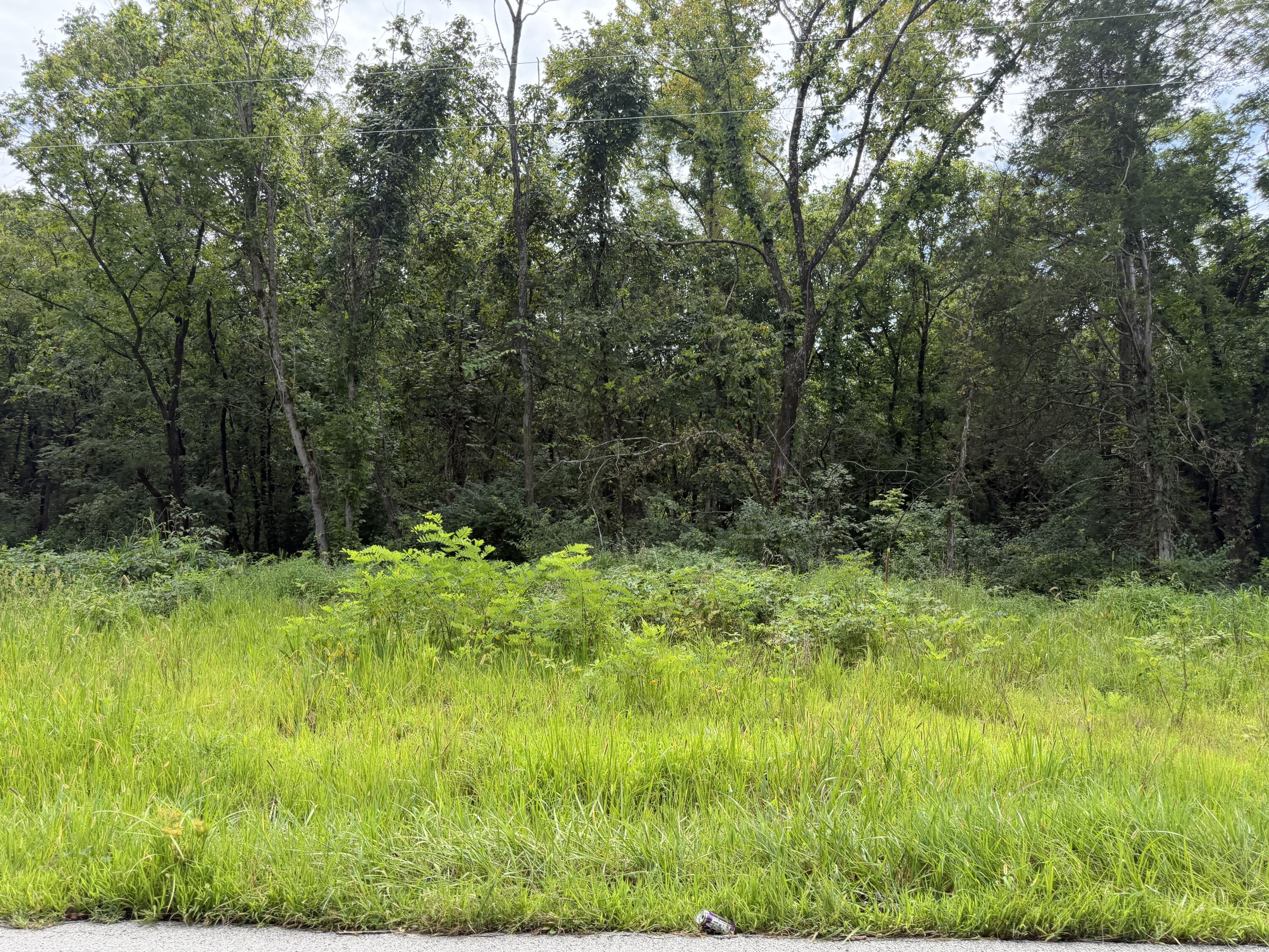 0 New Columbus Road Owenton, KY 40359 - Photo 15 of 18 IMG_5659