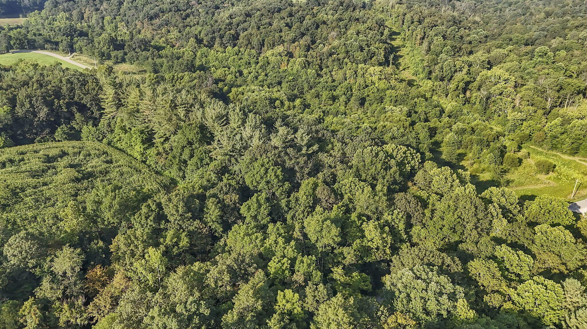 1420 Tatmans Road Northeast Corning, OH 43730 - Photo 30 of 40 34-web-or-mls-DJI_20250808084907_0058_D