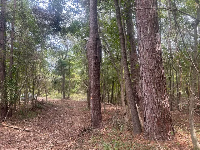 $40,000 | 0 Jasper Lane, Summerton, SC 29148