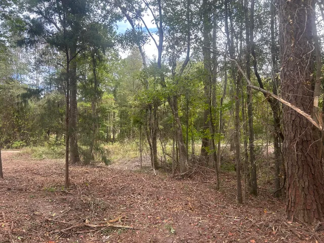 $40,000 | 0 Jasper Lane, Summerton, SC 29148