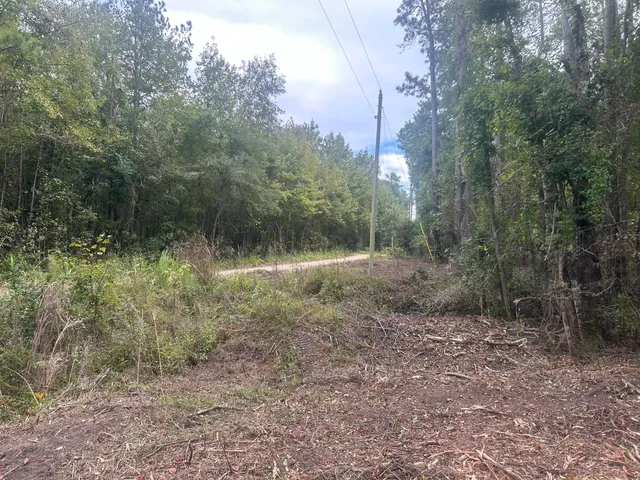 $40,000 | 0 Jasper Lane, Summerton, SC 29148