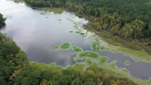 $40,000 | 0 Jasper Lane, Summerton, SC 29148