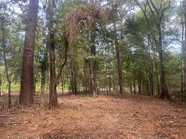 $40,000 | 0 Jasper Lane, Summerton, SC 29148