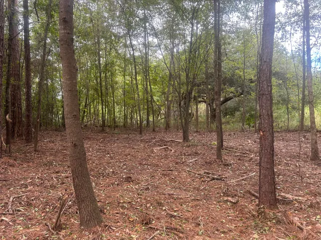 $40,000 | 0 Jasper Lane, Summerton, SC 29148