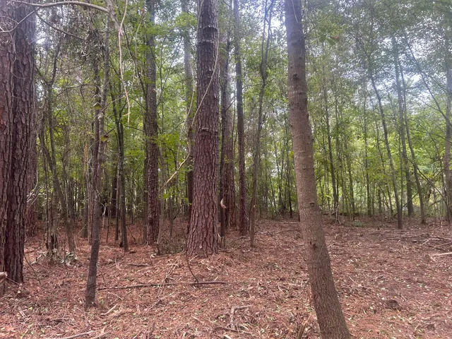 $40,000 | 0 Jasper Lane, Summerton, SC 29148