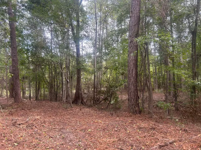 $40,000 | 0 Jasper Lane, Summerton, SC 29148