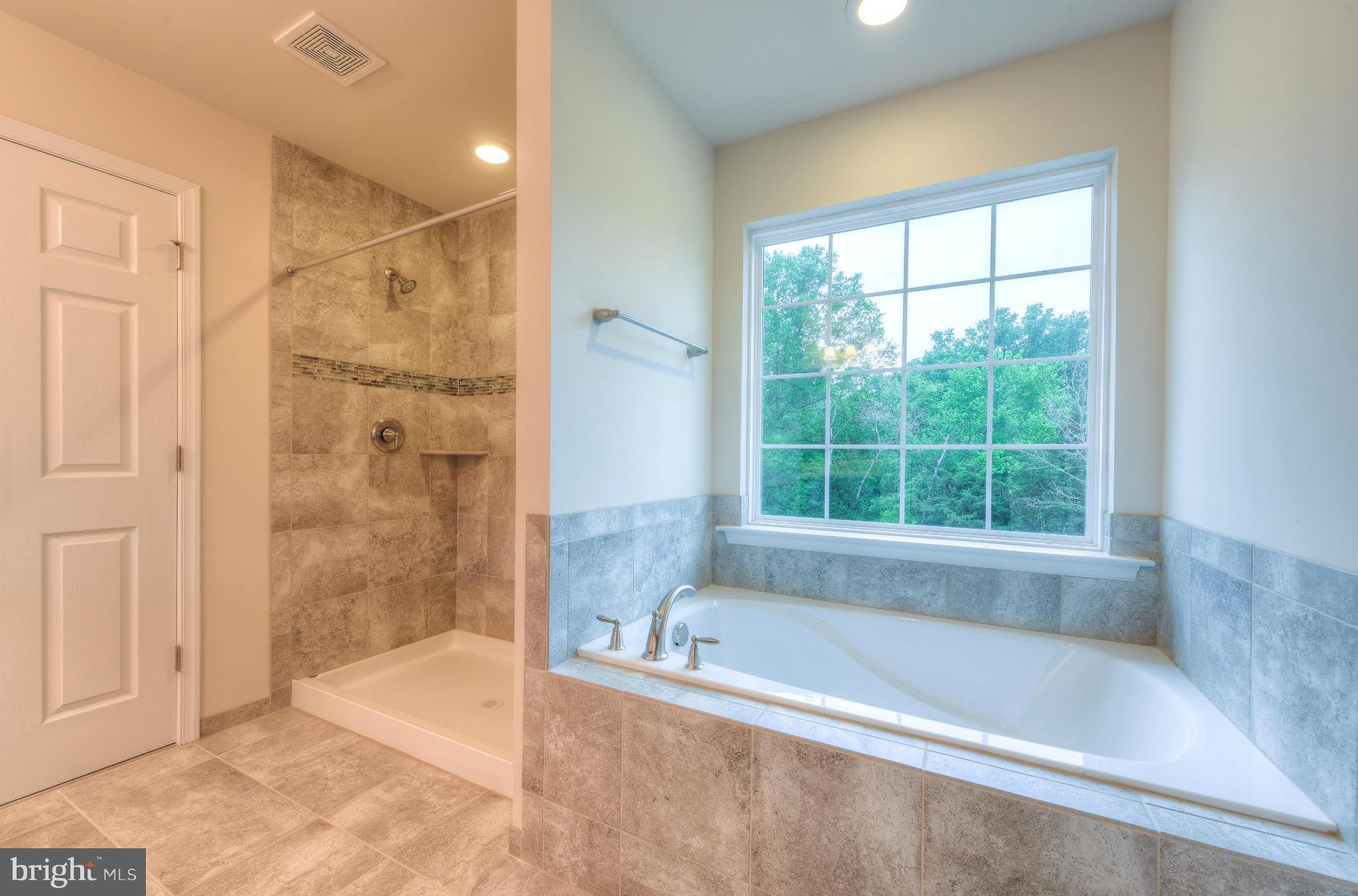 411 Birdie Road Locust Grove, VA 22508 - Photo 19 of 30 a bathroom with a bathtub and shower