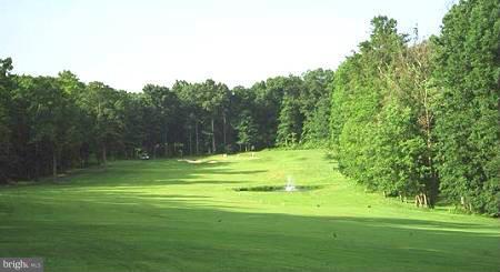 411 Birdie Road Locust Grove, VA 22508 - Photo 3 of 30 a view of a golf course with a trees