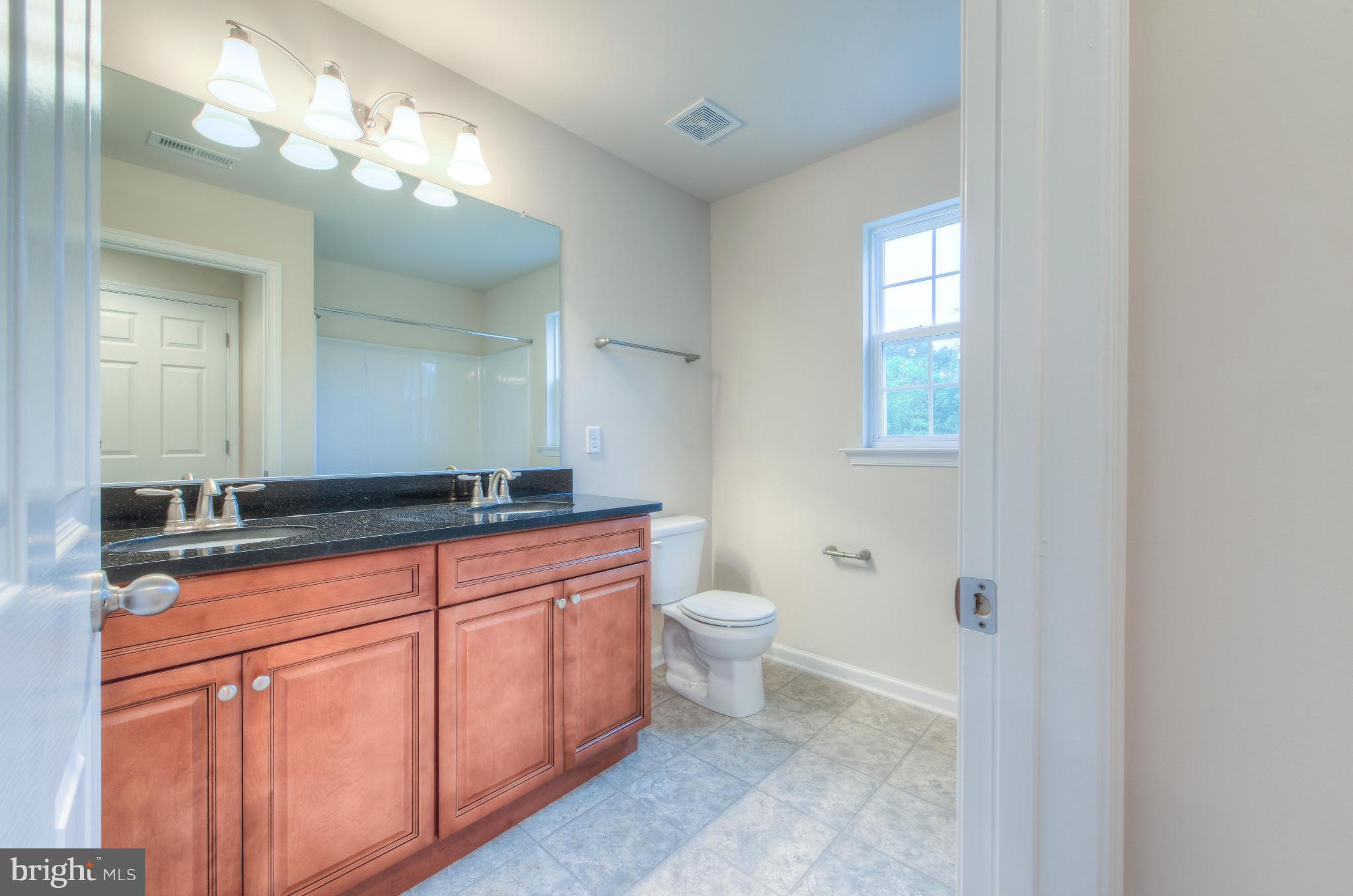 411 Birdie Road Locust Grove, VA 22508 - Photo 24 of 30 a bathroom with a sink a toilet and a mirror