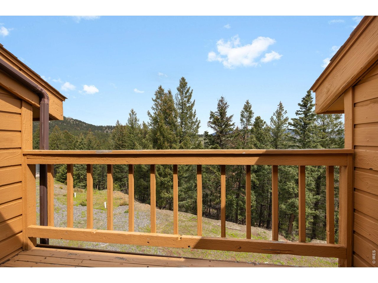 33173 Deep Forest Road Evergreen, CO 80439 - Photo 20 of 42