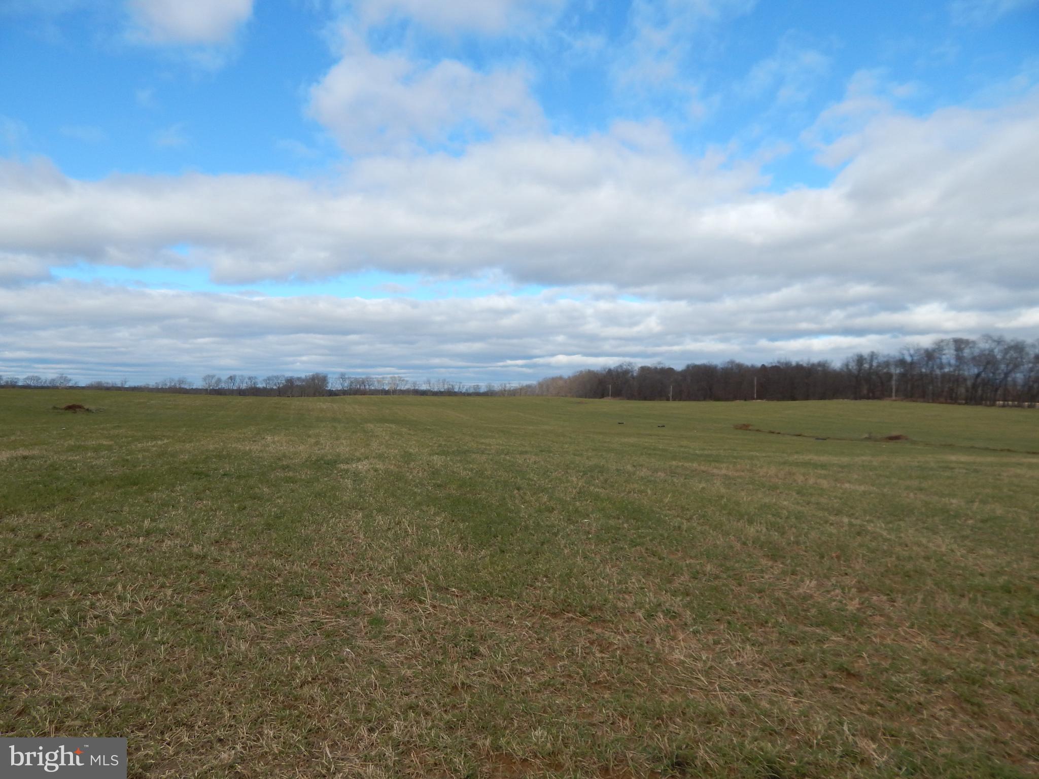 231 River Road Shepherdstown, WV 25443 - Photo 39 of 63 Gallery Image 39