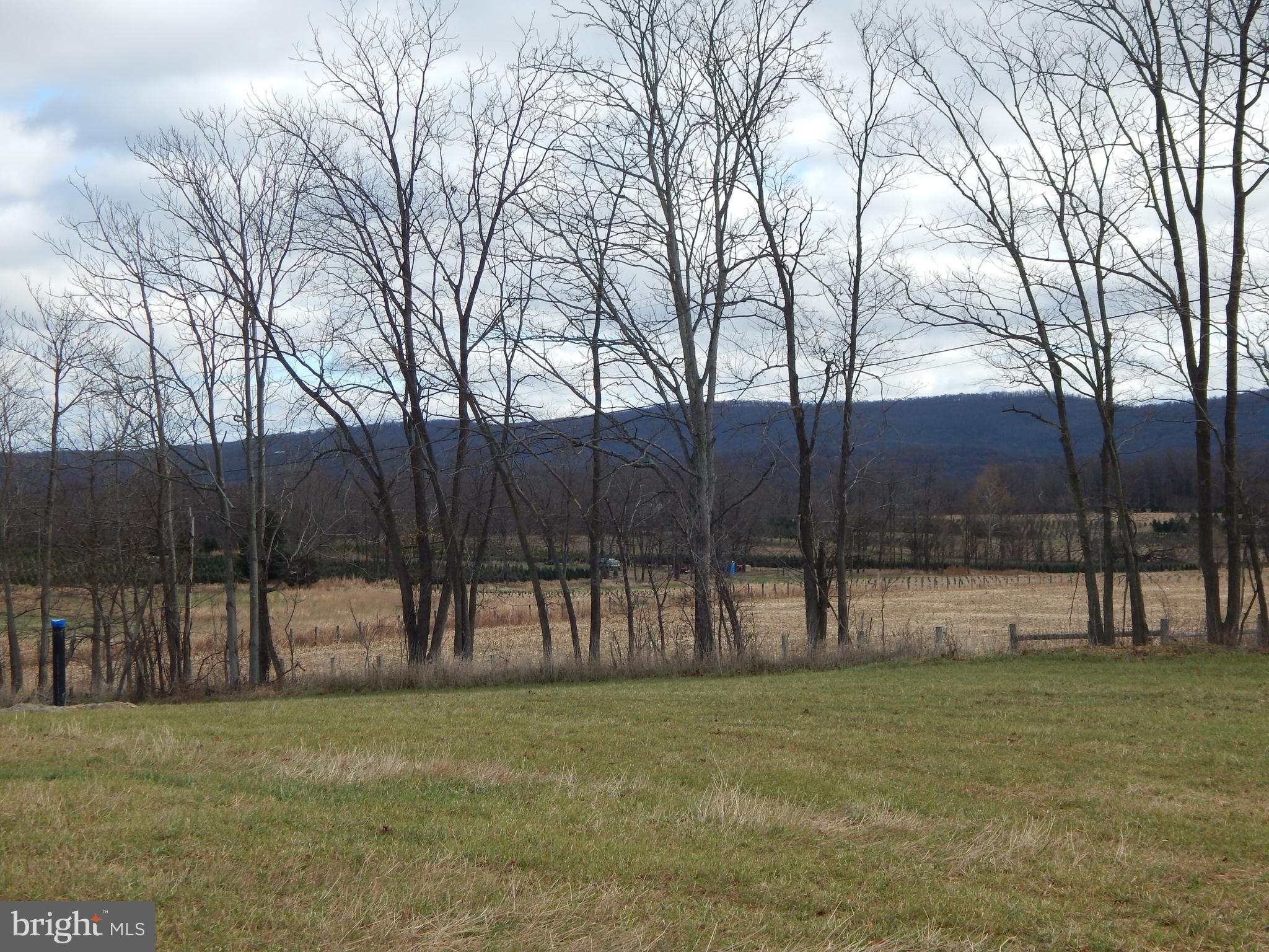 231 River Road Shepherdstown, WV 25443 - Photo 45 of 63 Gallery Image 45