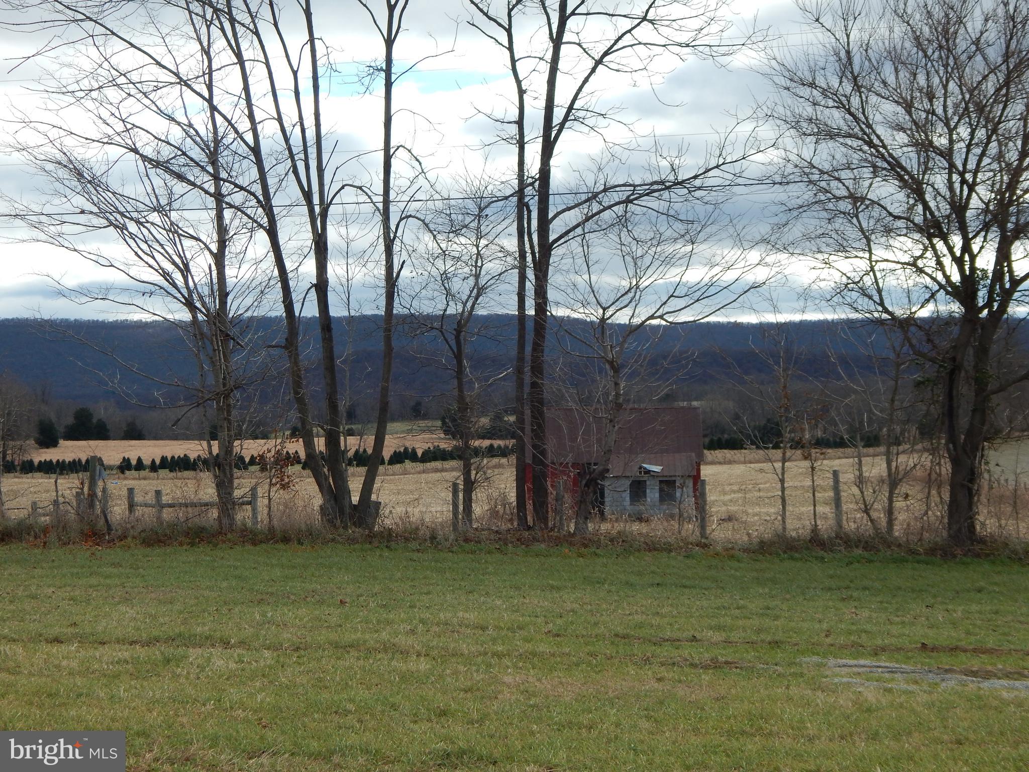 231 River Road Shepherdstown, WV 25443 - Photo 46 of 63 Gallery Image 46