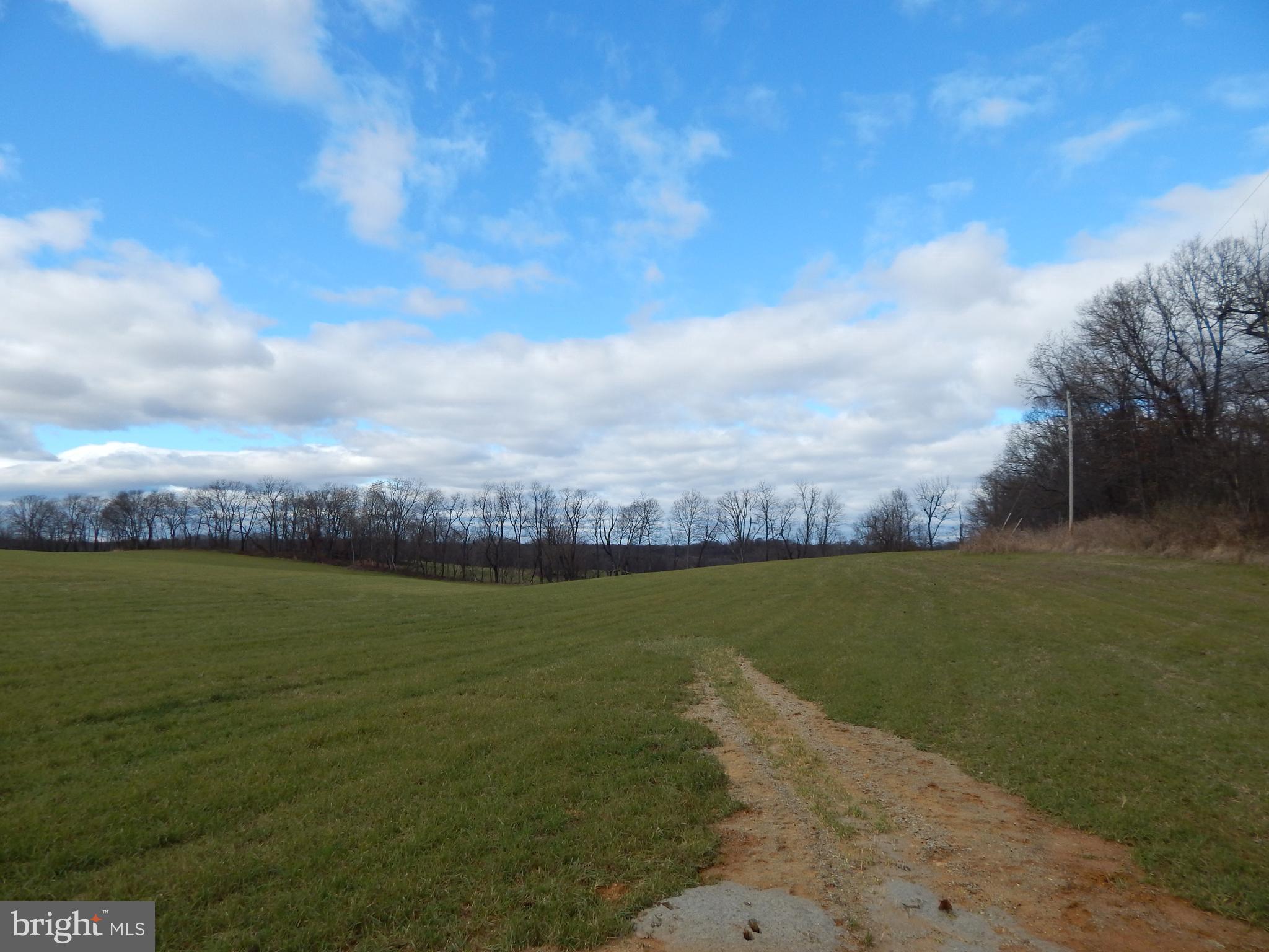 231 River Road Shepherdstown, WV 25443 - Photo 51 of 63 Gallery Image 51