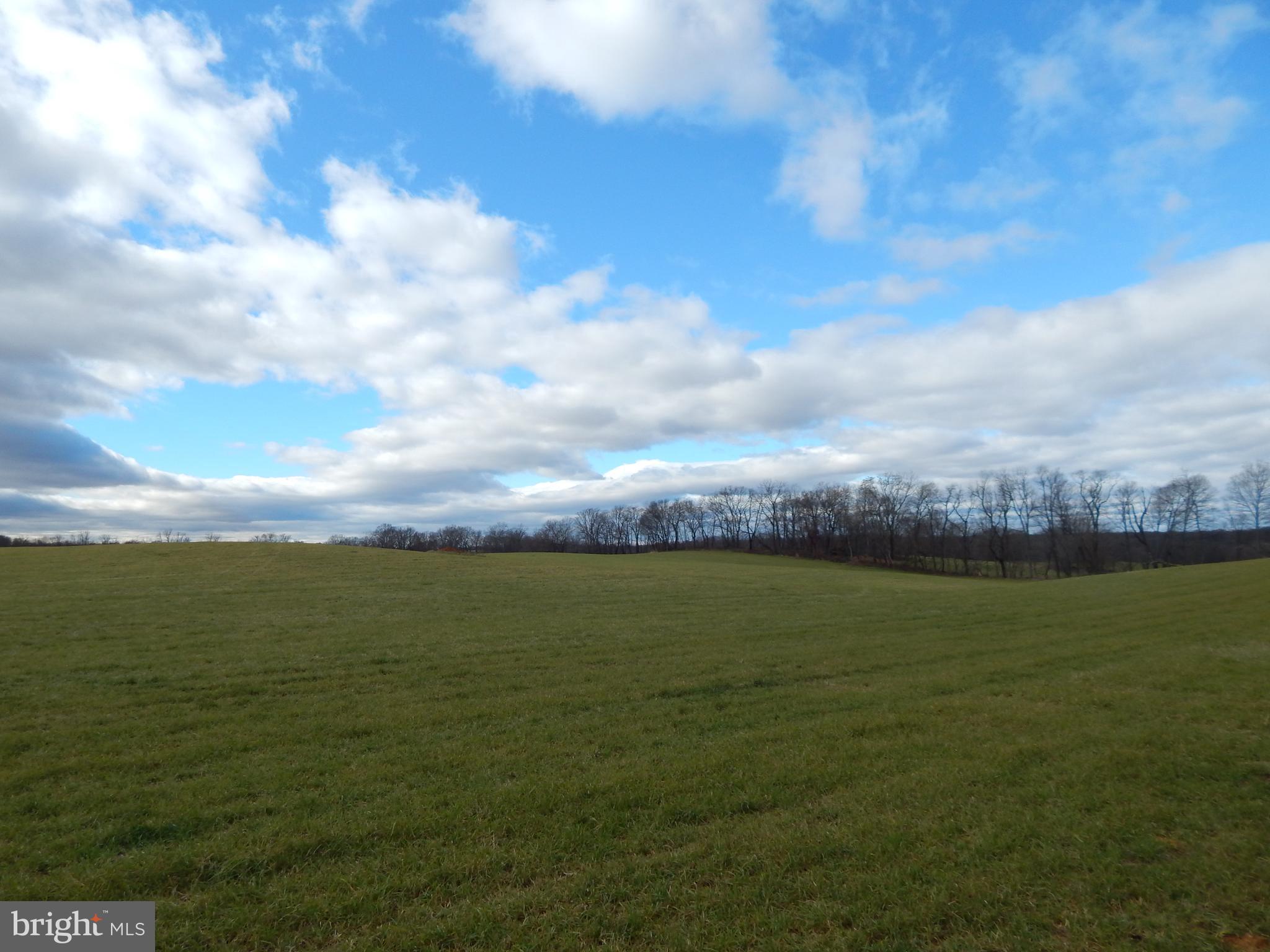 231 River Road Shepherdstown, WV 25443 - Photo 52 of 63 Gallery Image 52