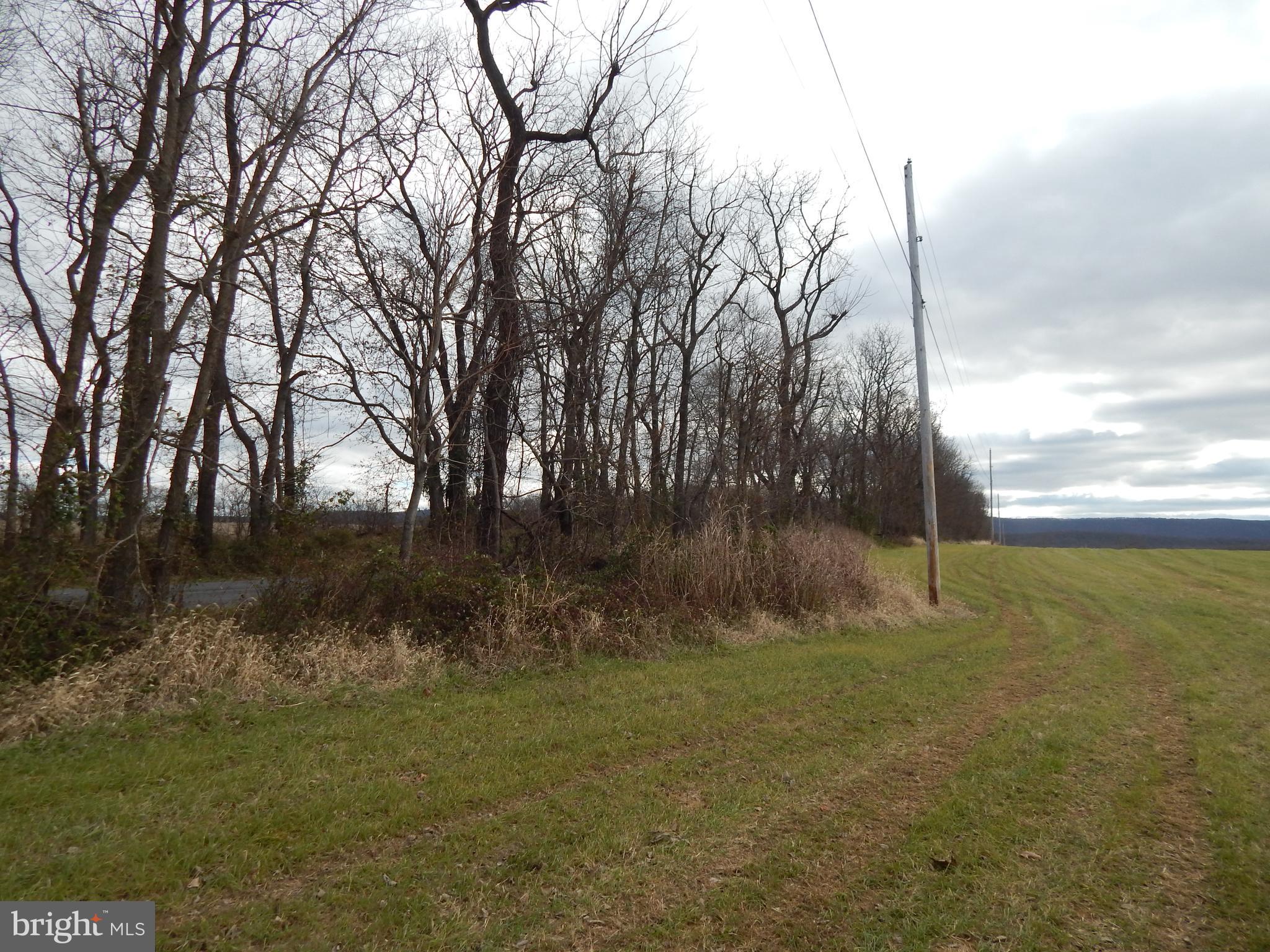 231 River Road Shepherdstown, WV 25443 - Photo 57 of 63 Gallery Image 57