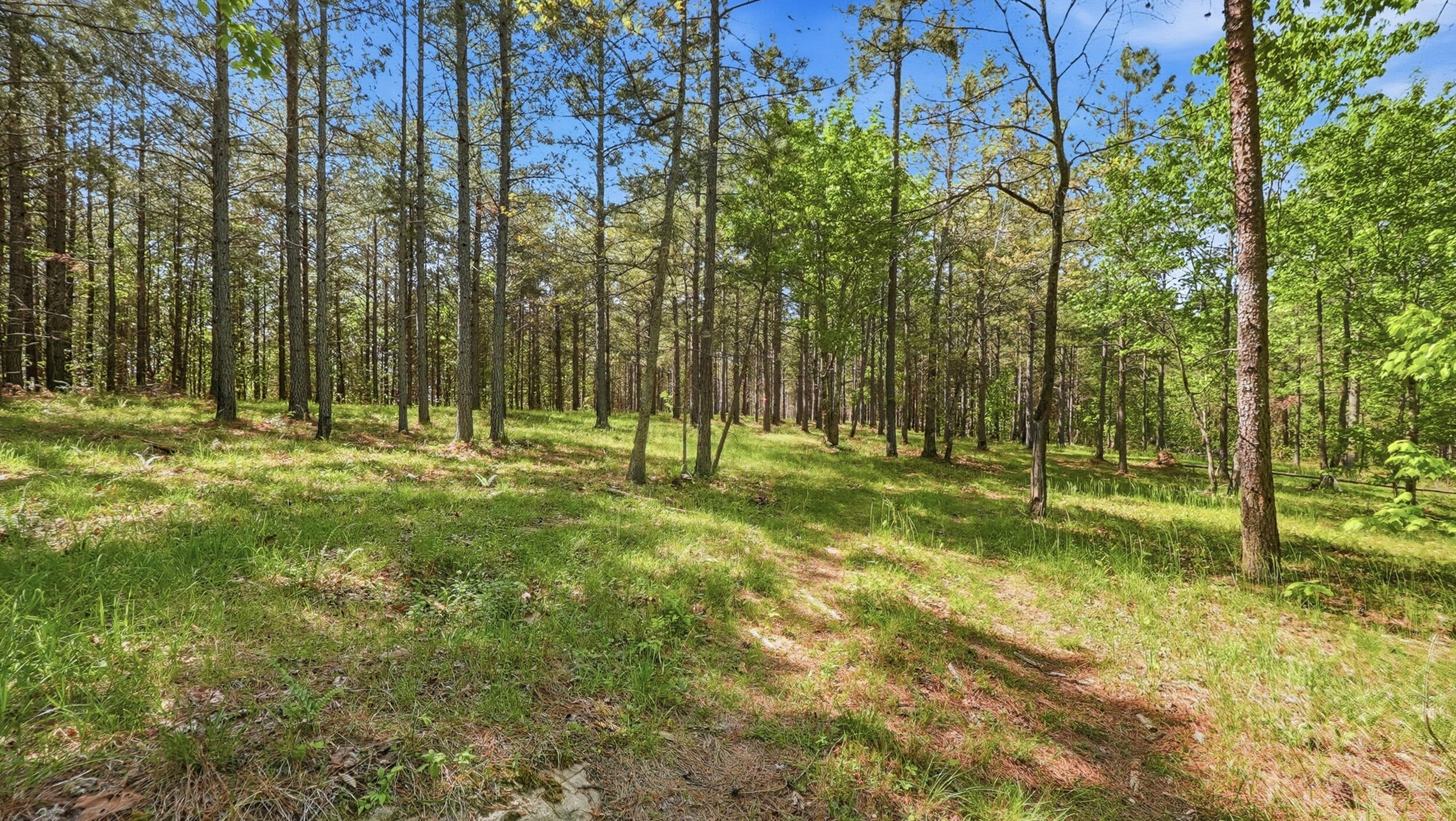 0 Worley Road, Unit LOT 43 Soddy-Daisy, TN 37379 - Photo 14 of 31 11024 Worley Rd-13
