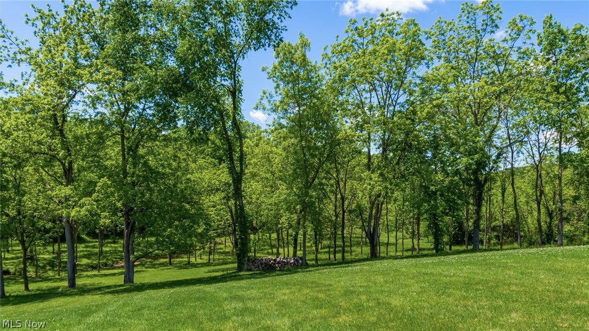 60145 Bliss Road New Concord, OH 43762 - Photo 42 of 49