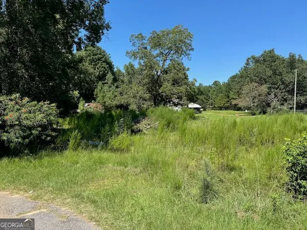 a view of a lush green space