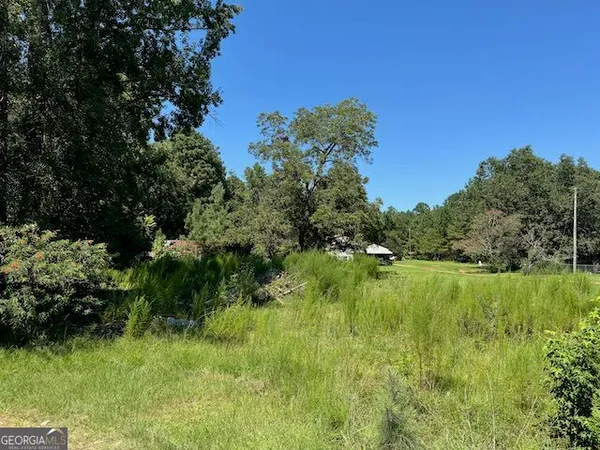 a view of a lush green space