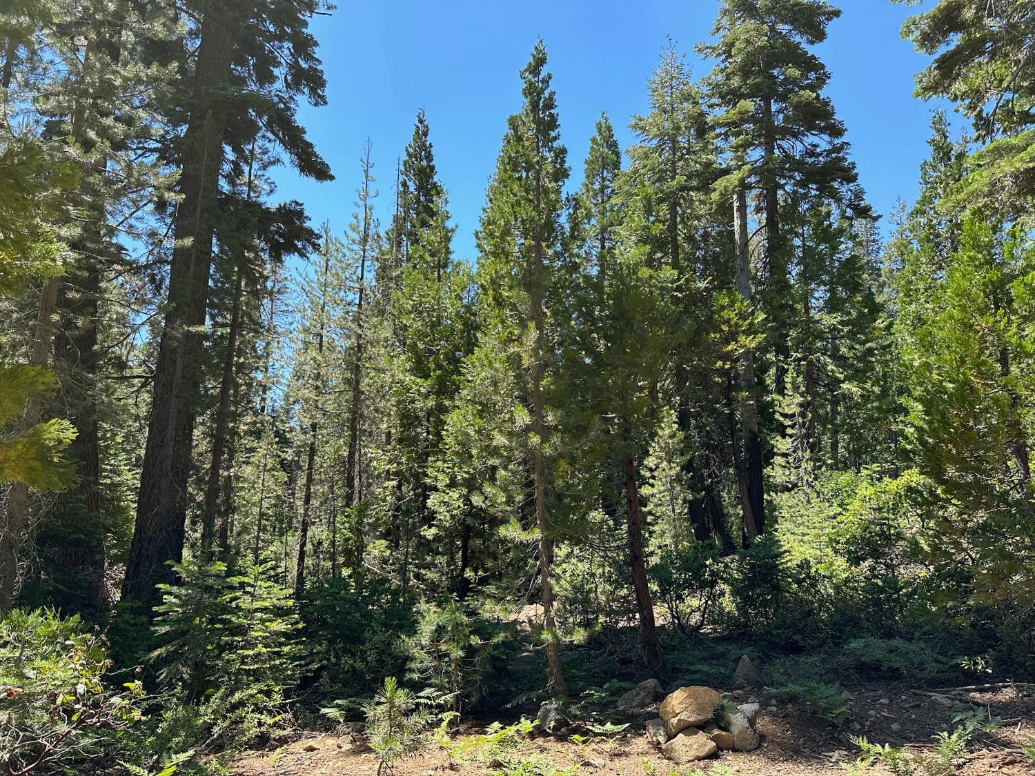 25609 Hoosier Road Nevada City, CA 95959 - Photo 36 of 44