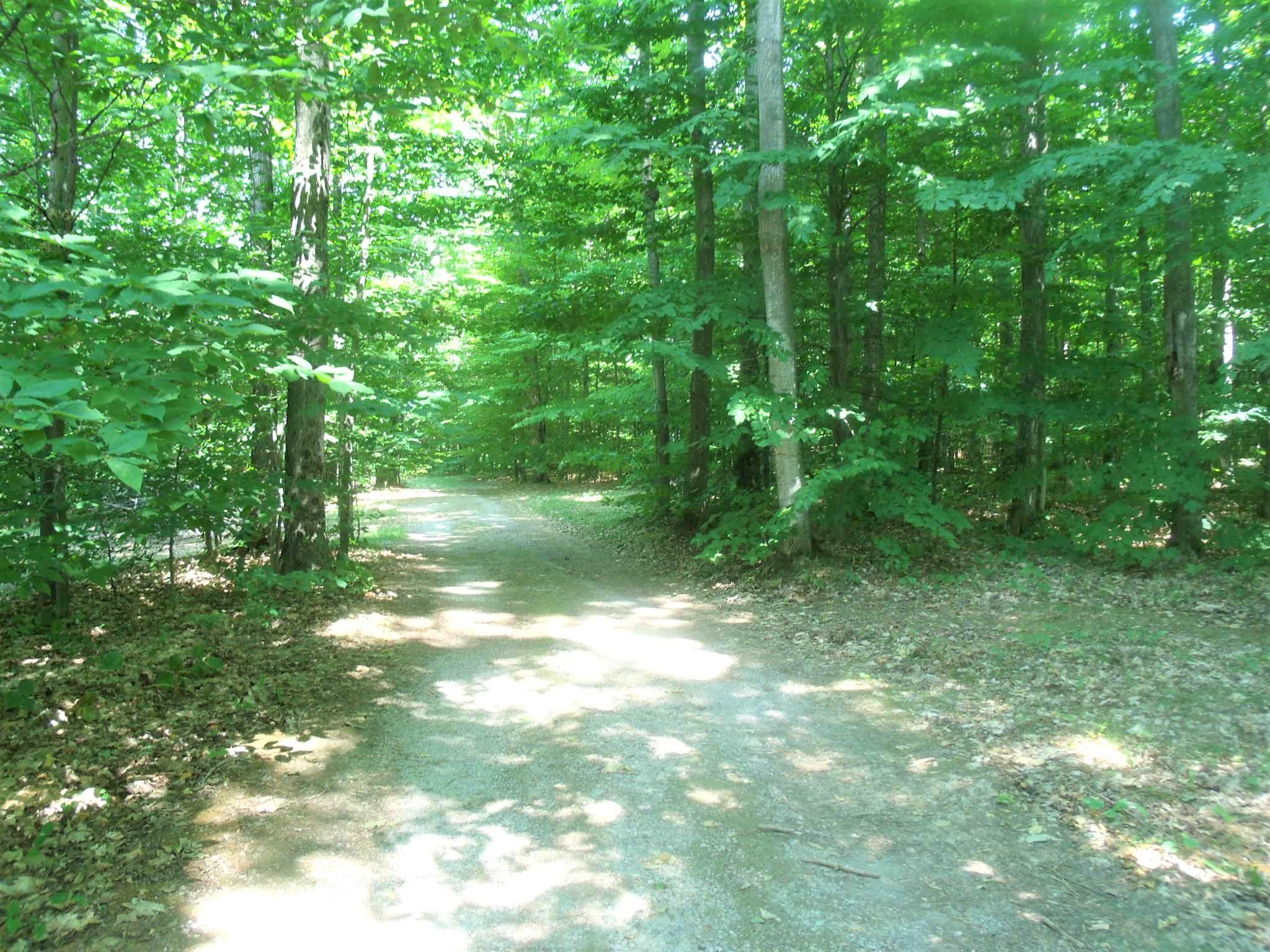 4183 North Ayr Road Alanson, MI 49706 - Photo 63 of 64 Gallery Image 63