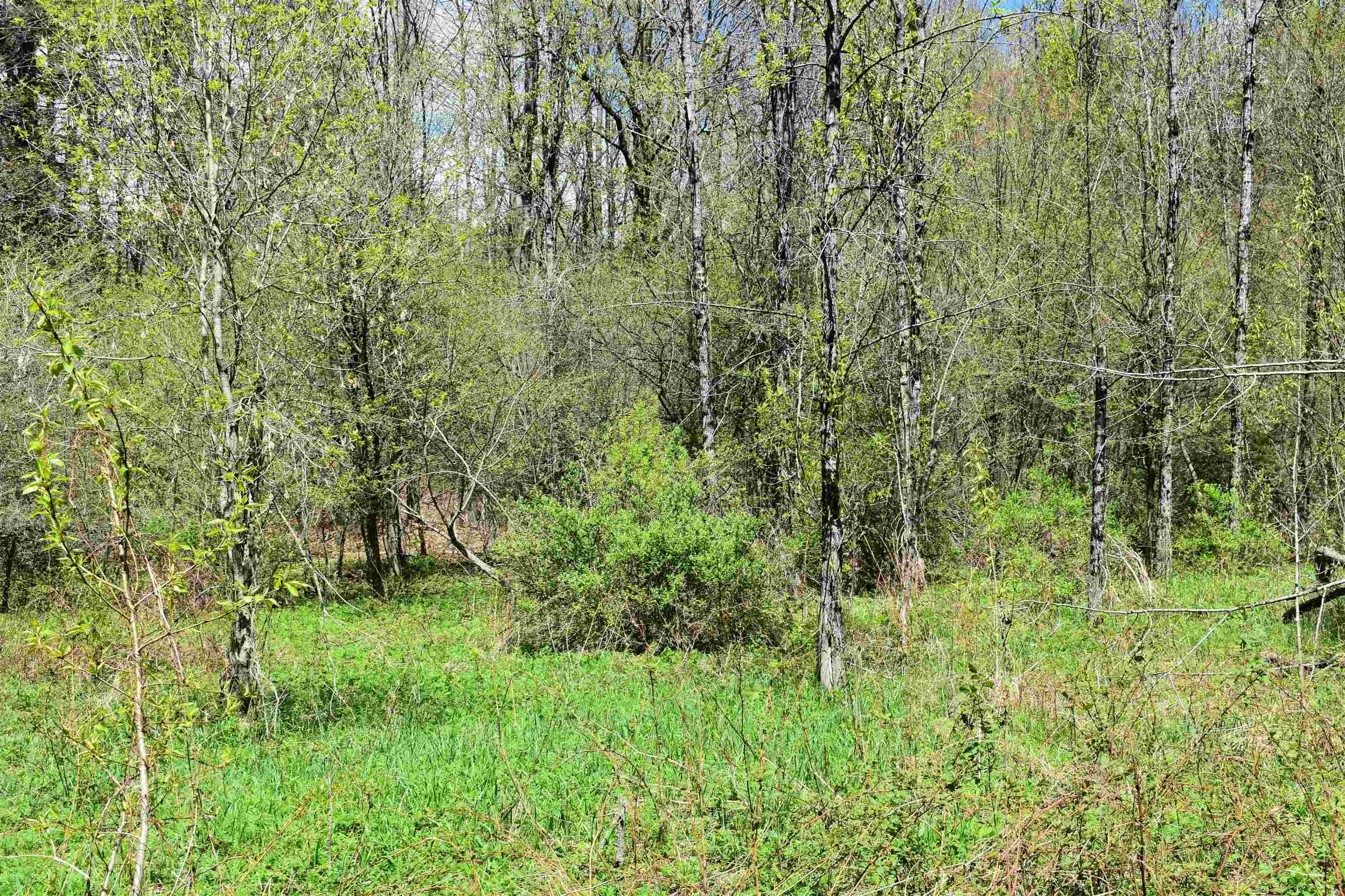 1850 Stock Farm Road, Unit 68 Randolph, VT 05060 - Photo 12 of 25