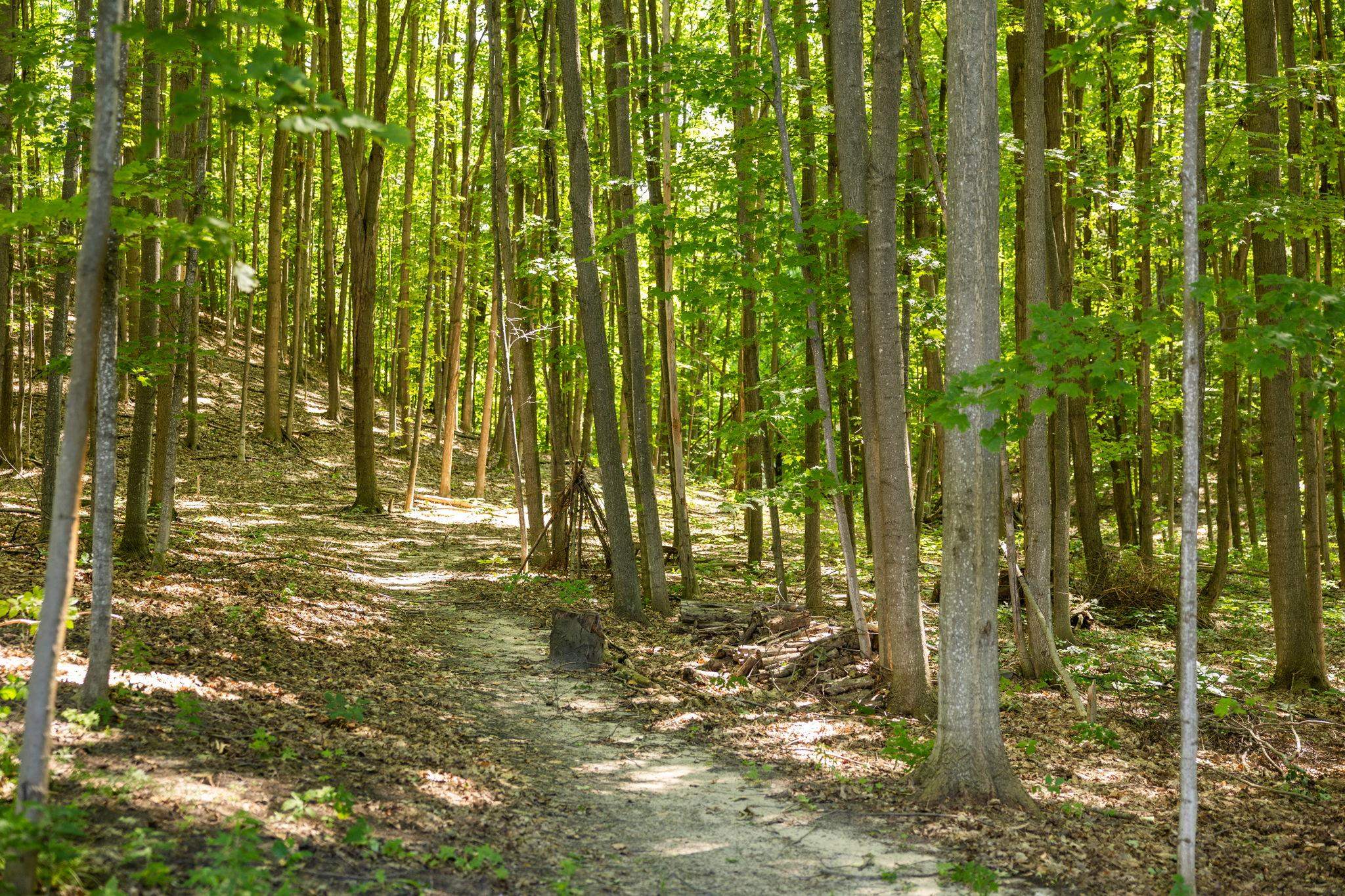 4651 Barnes Road Traverse City, MI 49684 - Photo 59 of 98 Gallery Image 59