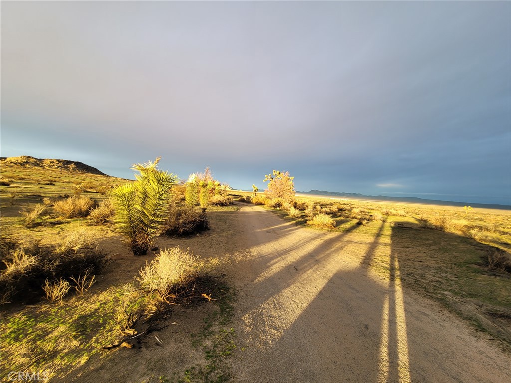 195 Old El Mirage Road Adelanto, CA 92301 - Photo 4 of 37 a view of ocean view