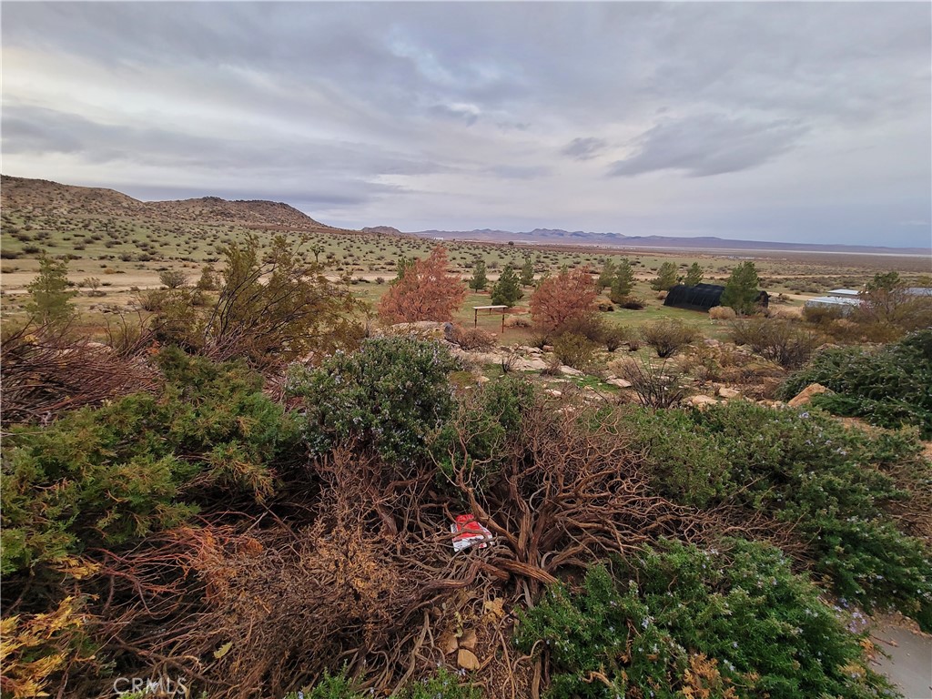 195 Old El Mirage Road Adelanto, CA 92301 - Photo 7 of 37 an aerial view of residential house with green space and fog