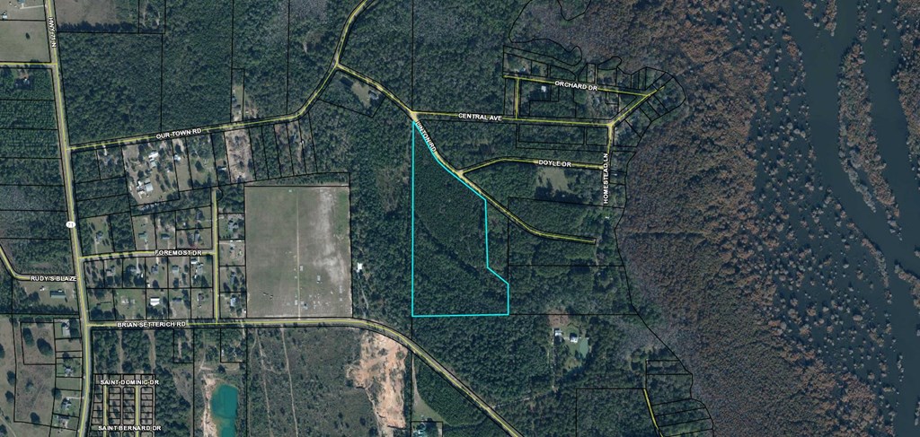 0 Linton Road Wewahitchka, FL 32465 - Photo 2 of 2