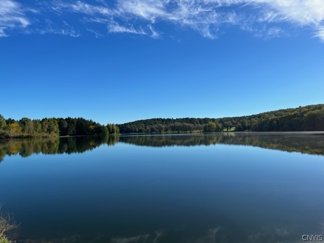 Lot 7 Lake Moraine Road Oneida, NY 13421 - Photo 4 of 4 Gallery Image 4