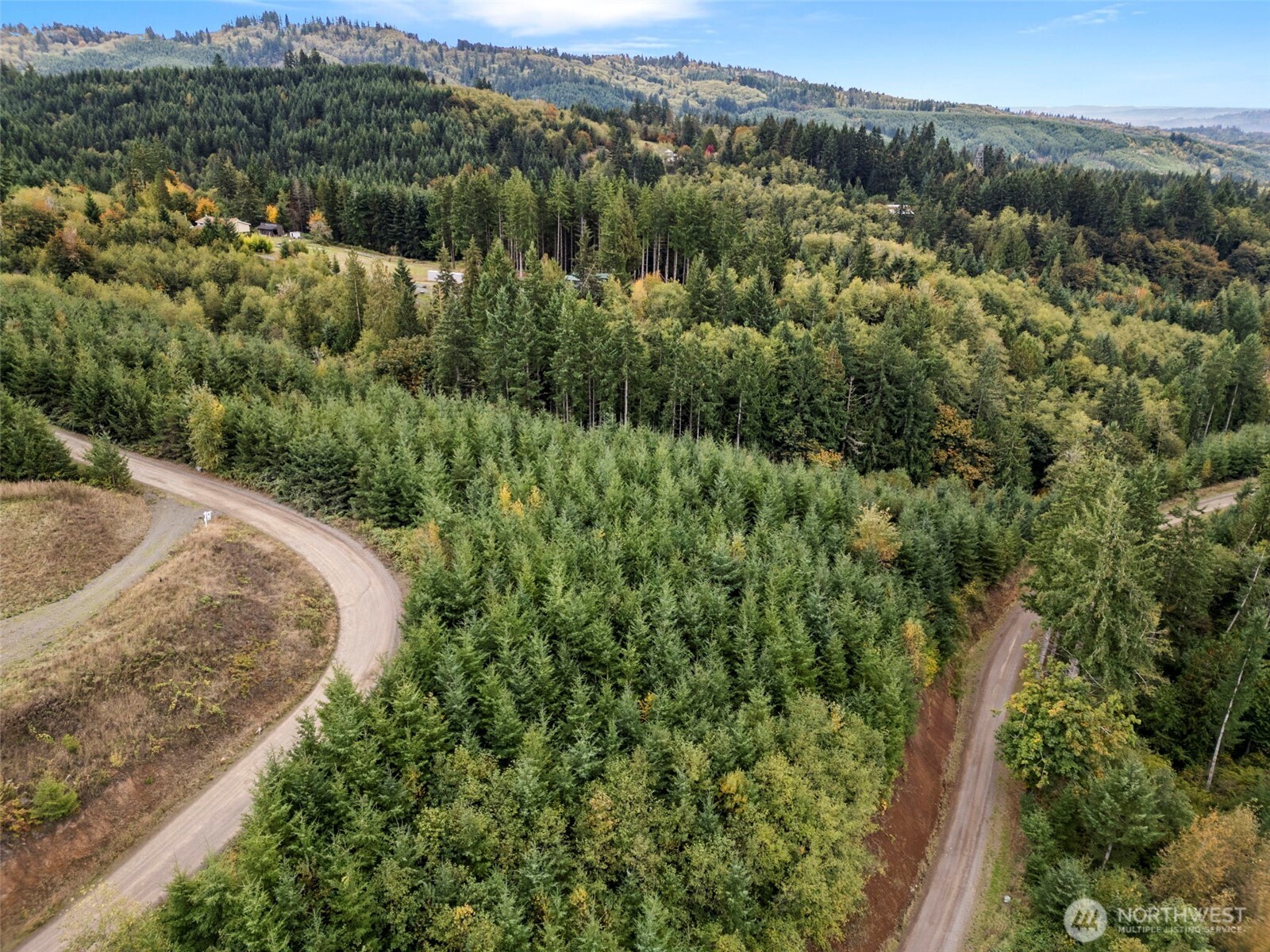 0 Bootjack Lane Kelso, WA 98626 - Photo 26 of 30 Gallery Image 26