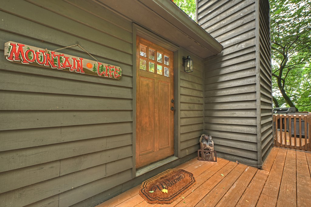161 Walnut Ridge Ellijay, GA 30536 - Photo 7 of 66
