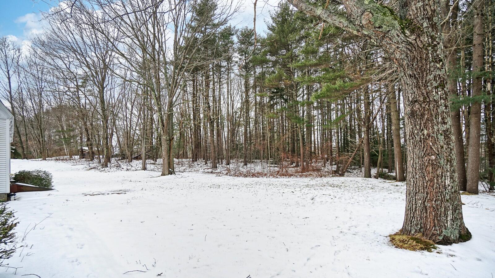 75 Winnocks Neck Road Scarborough, ME 04074 - Photo 9 of 70 back yard